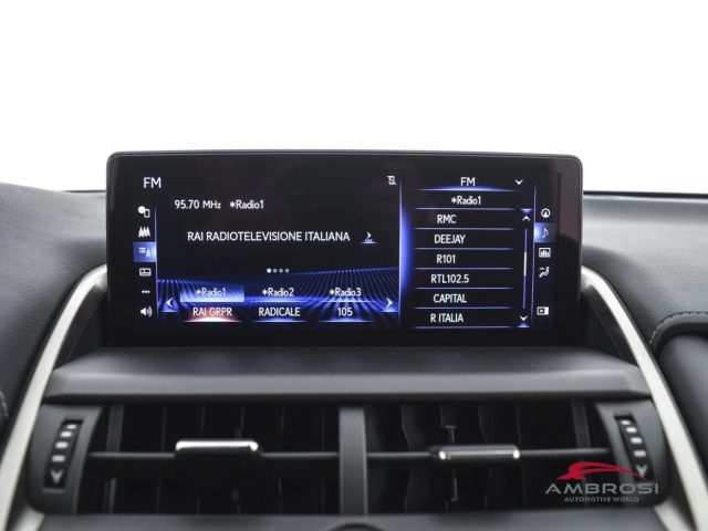 LEXUS NX 300h usata 13