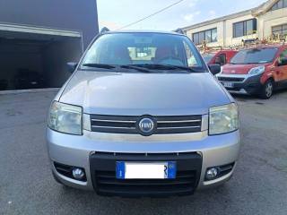 FIAT Panda usata 2