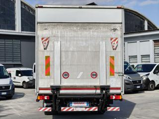IVECO  usata 5