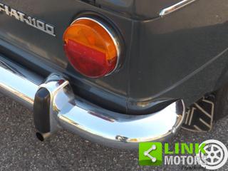FIAT 1100 usata 61