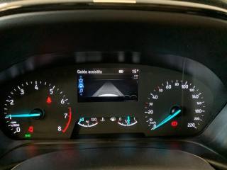 FORD Fiesta usata, con Vetri oscurati