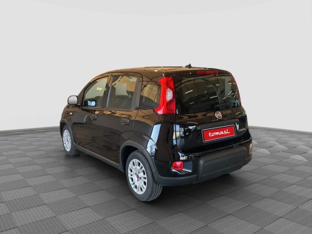 FIAT Panda usata 2