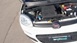 FIAT Panda usata 16