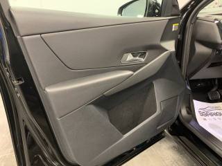 DS AUTOMOBILES DS 7 usata, con Volante in pelle