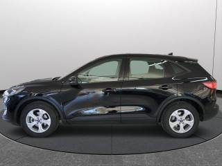 FORD Kuga usata, con Fari LED