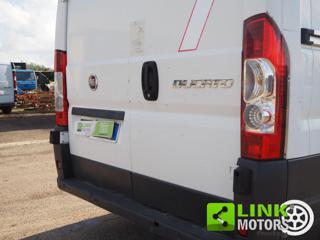 FIAT Ducato usata 19