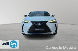 LEXUS UX 250h usata 1