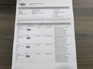 LAND ROVER Discovery Sport usata, con Leve al volante
