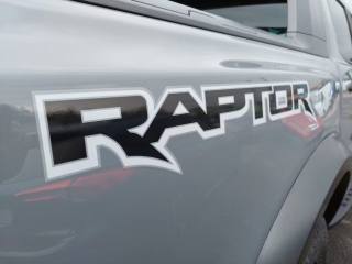 FORD Ranger Raptor usata, con Airbag laterali