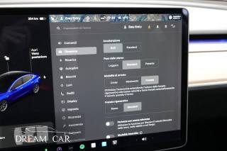 TESLA Model 3 usata, con Fendinebbia