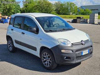 FIAT Panda usata, con Airbag Passeggero