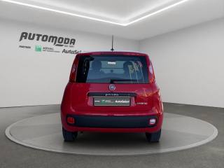 FIAT Panda usata 4