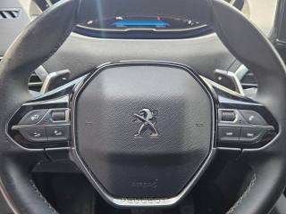 PEUGEOT 3008 usata, con Servosterzo