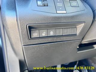 FIAT Doblo usata, con Fendinebbia