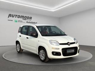 FIAT Panda usata, con Airbag Passeggero