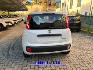 FIAT Panda usata, con Alzacristalli elettrici