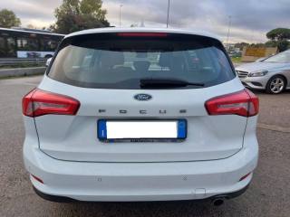 FORD Focus usata 7