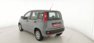 FIAT Panda usata 4