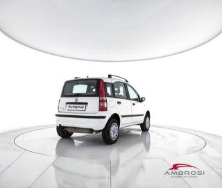 FIAT Panda usata 2