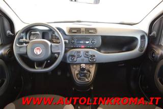FIAT Panda usata, con Alzacristalli elettrici