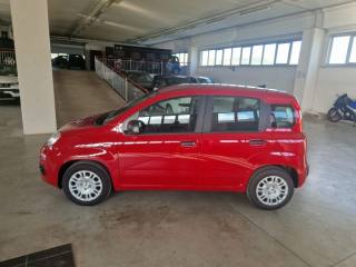FIAT Panda usata, con Antifurto