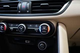 ALFA ROMEO Giulia usata, con Hill holder