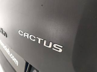 CITROEN C4 Cactus usata, con Touch screen