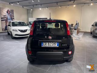 FIAT Panda usata, con Climatizzatore