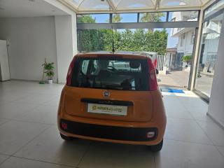 FIAT Panda usata, con ESP