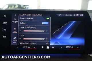 BMW 218 usata, con Touch screen