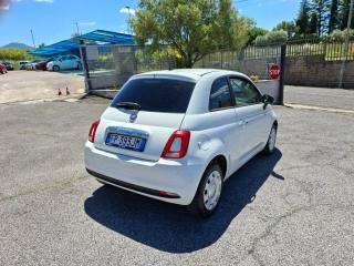 FIAT 500 usata 4