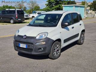 FIAT Panda usata, con Airbag