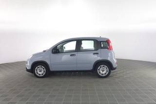 FIAT Panda usata 6