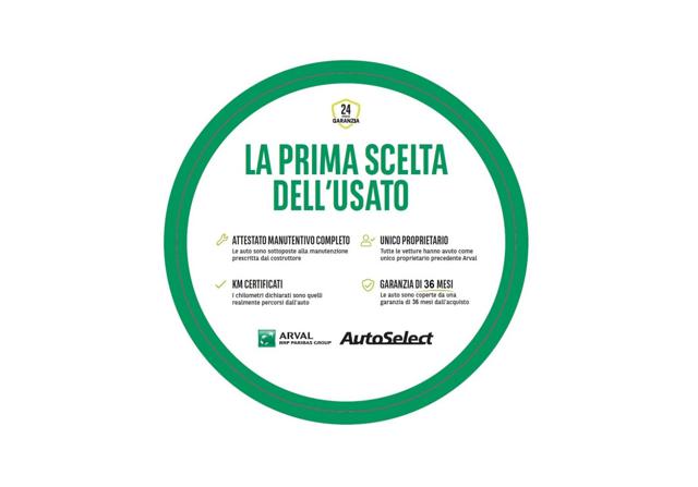 MINI Countryman usata, con Immobilizzatore elettronico