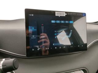BYD Dolphin Surf usata, con Sedile posteriore sdoppiato