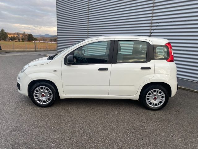 FIAT Panda usata, con Controllo trazione