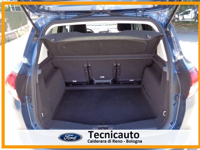 FORD C-Max usata, con Cronologia tagliandi
