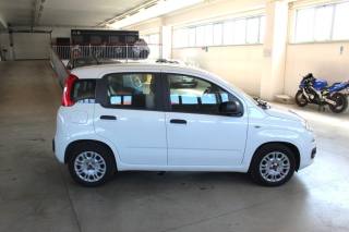 FIAT Panda usata, con Autoradio
