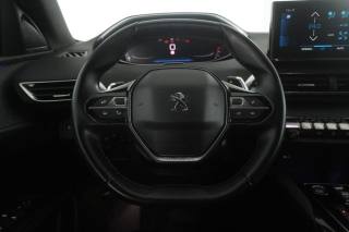 PEUGEOT 3008 usata 11