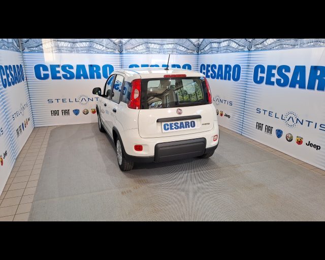FIAT New Panda usata, con Alzacristalli elettrici