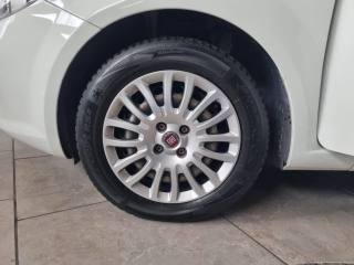FIAT Punto usata 12
