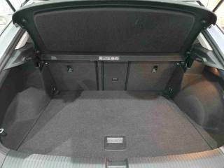 VOLKSWAGEN T-Roc usata, con Fendinebbia