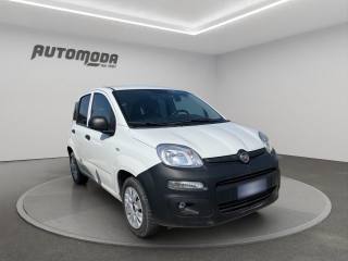 FIAT Panda usata 2