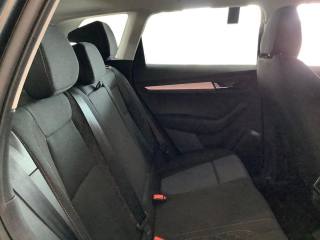 SKODA Karoq usata, con Fendinebbia