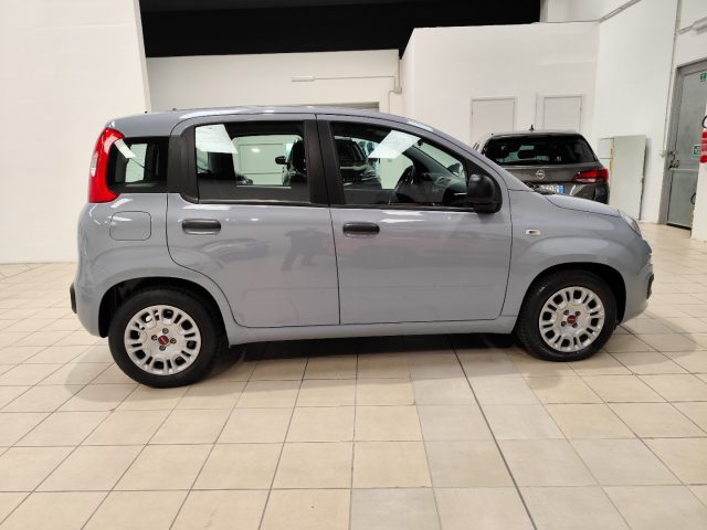 FIAT Panda usata, con Antifurto