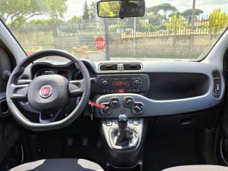 FIAT Panda usata 5