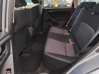 SUBARU Forester usata, con Cruise Control