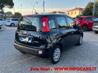 FIAT Panda usata, con Airbag
