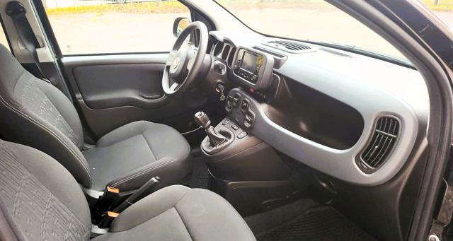 FIAT Panda usata, con Cronologia tagliandi