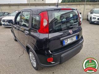 FIAT Panda usata, con Alzacristalli elettrici